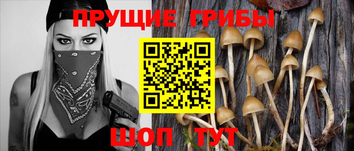 Галлюциногенные грибы Magic Shrooms Камышин