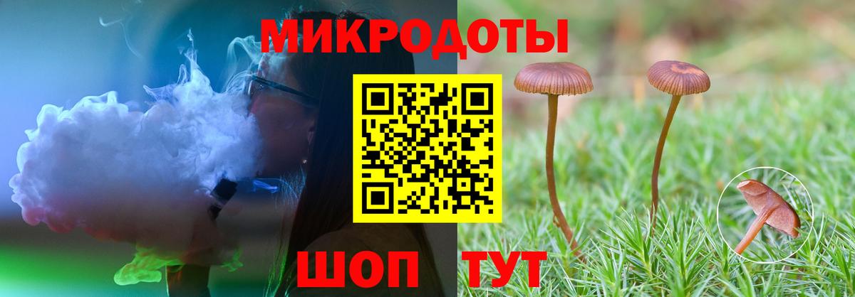 как найти закладки  Вход с VPN  Камышин  Псилоцибиновые грибы мухоморы 
